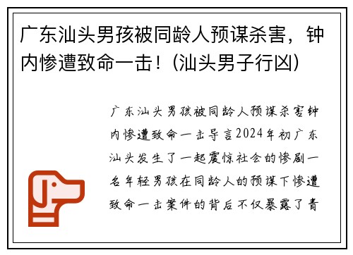 广东汕头男孩被同龄人预谋杀害，钟内惨遭致命一击！(汕头男子行凶)
