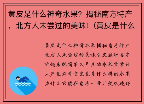 黄皮是什么神奇水果？揭秘南方特产，北方人未尝过的美味！(黄皮是什么类型的水果)