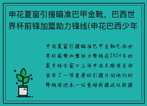 申花夏窗引援瞄准巴甲金靴，巴西世界杯前锋加盟助力锋线(申花巴西少年队)